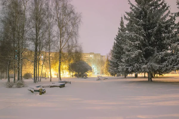 Zimą drzewa na warstwie śniegu — Zdjęcie stockowe