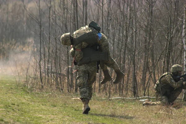 Военный медведь сзади своего раненого друга — стоковое фото
