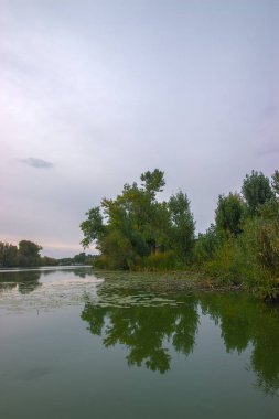 günbatımı nehirde ağaca