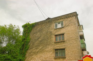 Sovyetler Birliği kez kurguları sarmaşık kaplı