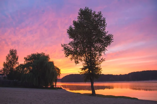 günbatımı nehirde ağaca