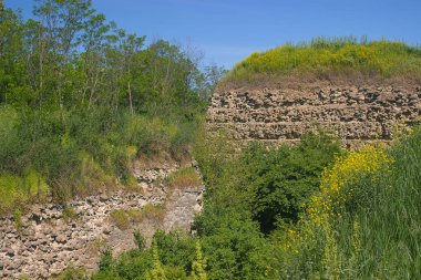 ağaç Ortaçağ duvardan gelişen