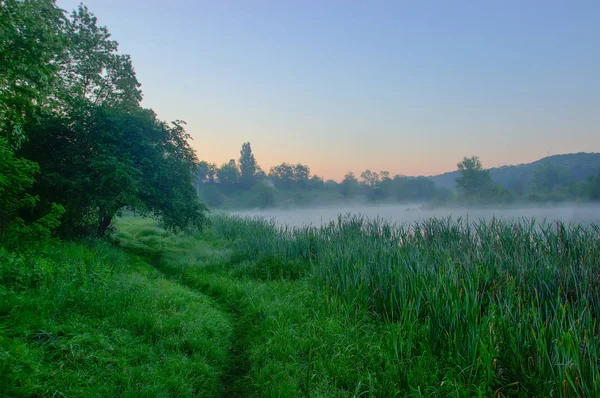 Lever de soleil par un matin brumeux au Marais — Photo