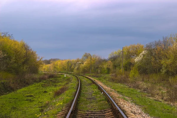 Caminho de ferro abandonado velhos arbustos altos cobertos — Fotografia de Stock