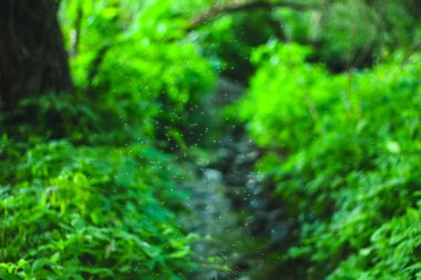 yeşil yuvarlak yüzey dokuları arka plan yaprakları