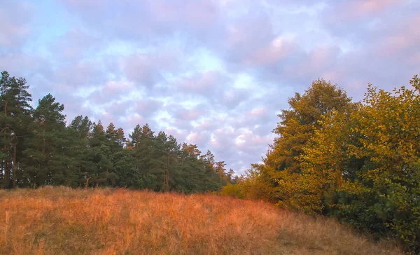 Manhã de outono nublada. Natureza fresca. Nascer do sol no prado . — Fotografia de Stock