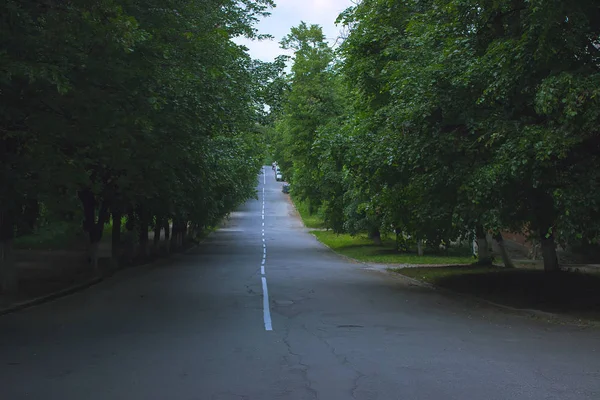 Höst morgon på park — Stockfoto