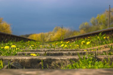 Karahindiba, yüksek gerilim elektrik hatları dramatik gökyüzüne yakınındaki demiryolu