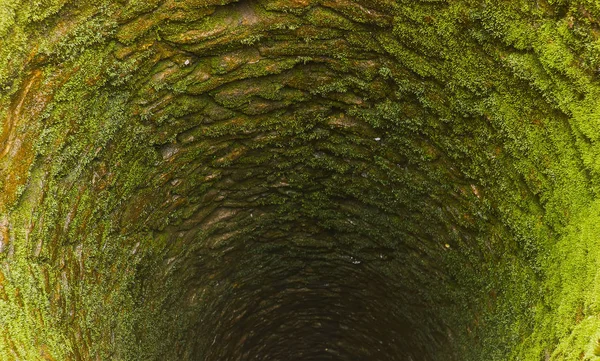 Vieux puits profond avec mousse — Photo
