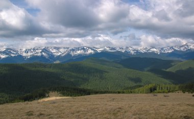 Karpat dağlarında ilkbahar manzarası