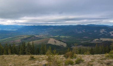 Karpat dağlarında ilkbahar manzarası