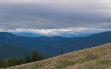 Karpat dağlarında ilkbahar manzarası