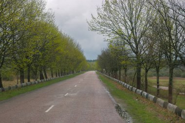 Kötü asfalt yol, kırsal