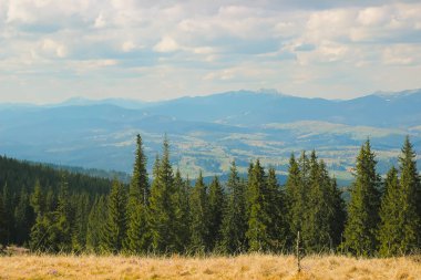 Karpat dağlarında ilkbahar manzarası