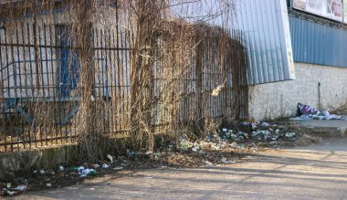 Çöp zeminde, doğa sahne manzara