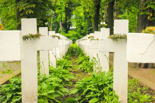 Vecchio cimitero ebraico a Chernivtsy — Foto Stock