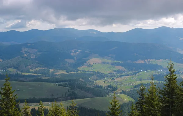Karpat dağlarında ilkbahar manzarası