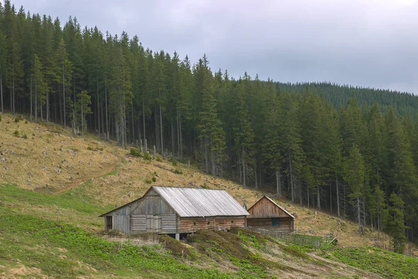 Forsthaus im Wald — Stockfoto