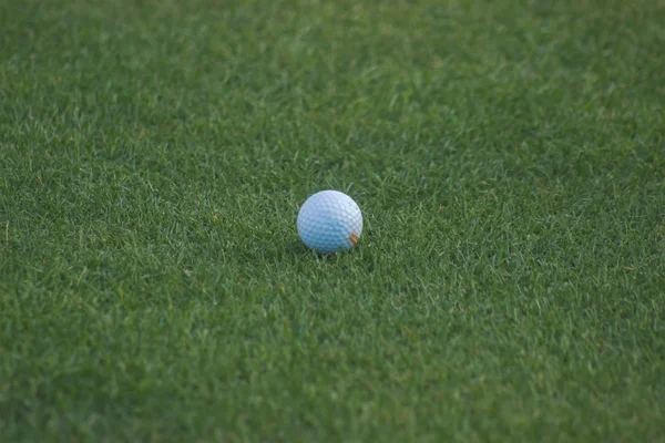 Palla da golf su T — Foto Stock