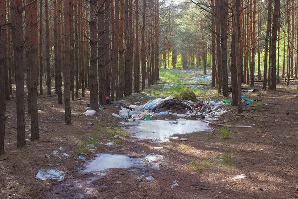 Garbage on ground, nature scene landscape — Stock Photo, Image