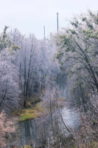 Hoar-frost on trees in winter — Stock Photo, Image