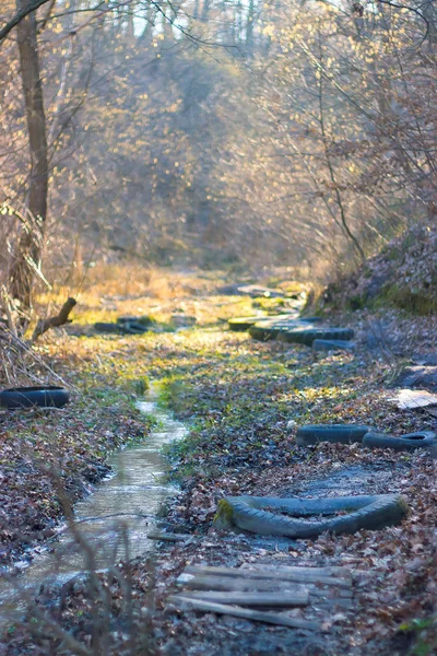 Spring creek op ochtendzon stralen — Stockfoto