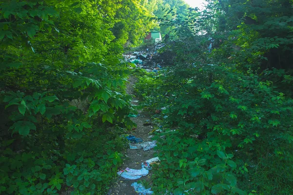 Basura en el suelo, paisaje de la escena de la naturaleza — Foto de Stock