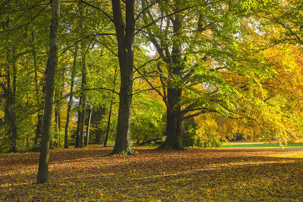 Вечер во дворе с летним солнцем
