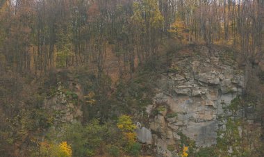 Sabah bahar dağlarda manzara