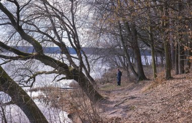 Zhytomyr, Ukrayna-15 Ekim 2015: ormanda ağaç altında oturan bilge yaşlı bir adamın portresi