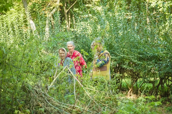 Jitomir, Ukrayna - 03 Eylül 2015: eski gizleme ve uzun otların arasında izlerken kadın