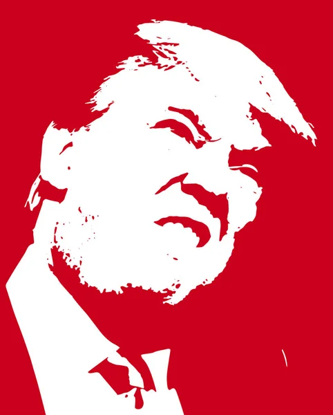 Donald Trump. Vector illustration. — Stock Vector