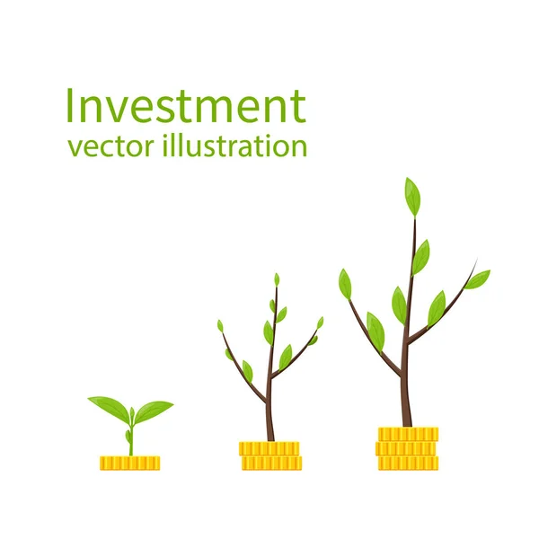 Concepto de inversión. vector — Vector de stock