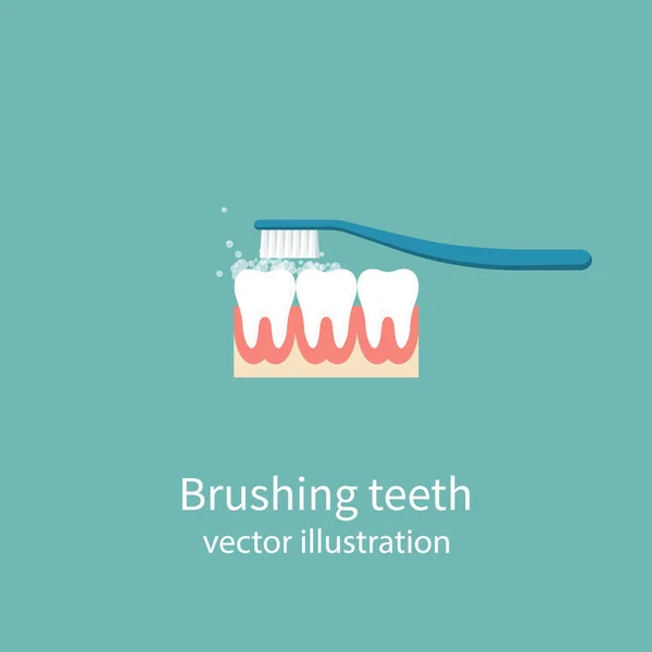 Brushing Teeth. Toothbrush — Stock Vector