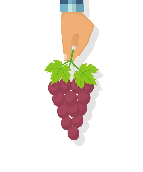Ember tartja a kezében a szőlő. — Stock Vector