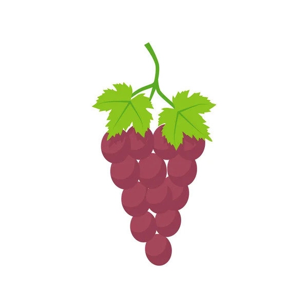 Desenho plano do ícone da ilustração do vetor das uvas — Vetor de Stock