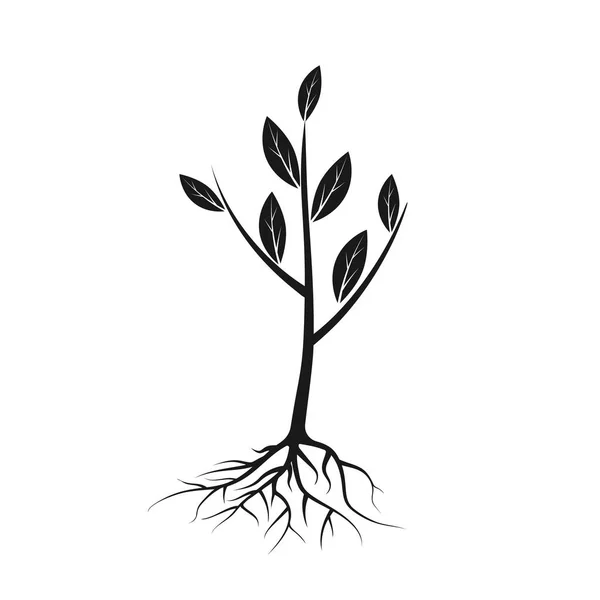 Icono del árbol negro con raíces y hojas — Vector de stock