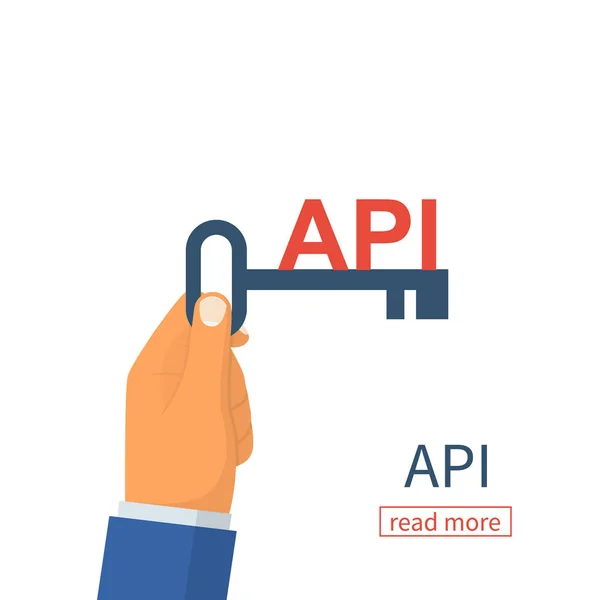 API concept. Key — Stock Vector