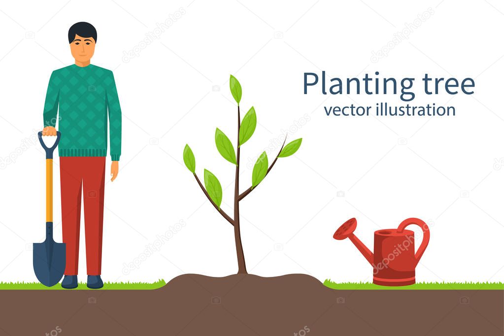 Planting tree. Gardener with shovel in hand