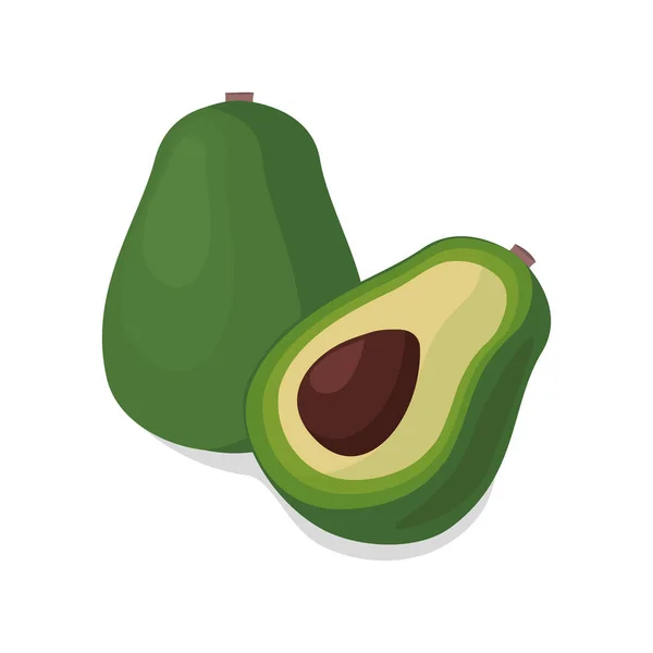 Verse rijpe avocado — Stockvector