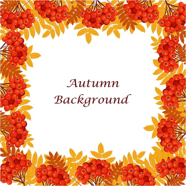Sonbahar yaprakları ve meyveleri ile çerçeve.