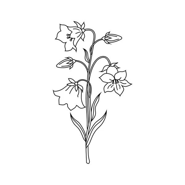 Vectorillustratie van bell bloemen — Stockvector