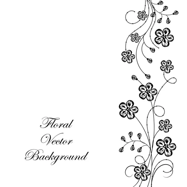 Beeautiful florale achtergrond in zwart-wit — Stockvector