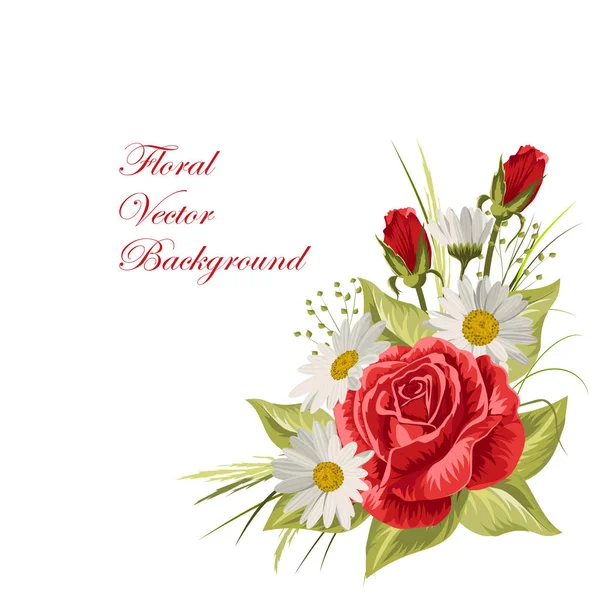 Mooie witte madeliefjes en rode rozen — Stockvector