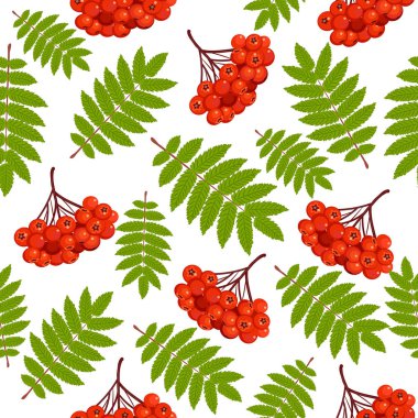 Rowan ile güzel seamless modeli