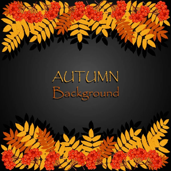 Rowan ile sonbahar arka plan