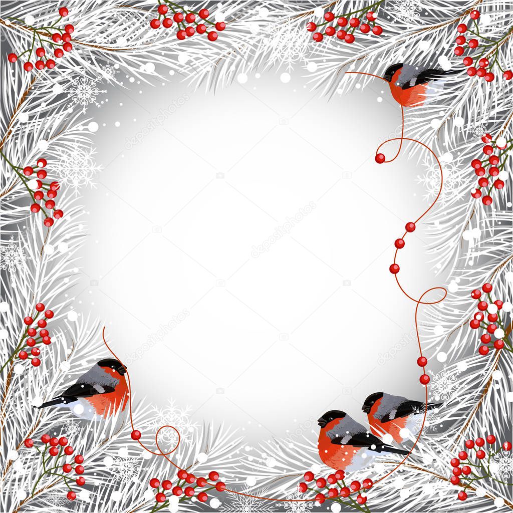 Winter frame with bullfinches