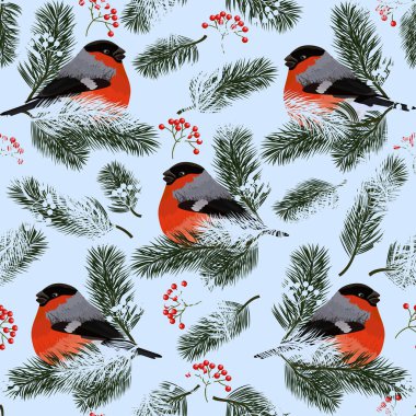 Boğa ispinozu, kızılcık ve köknar dallarıyla kusursuz desen. Mavi arkaplanda vektör illüstrasyonu