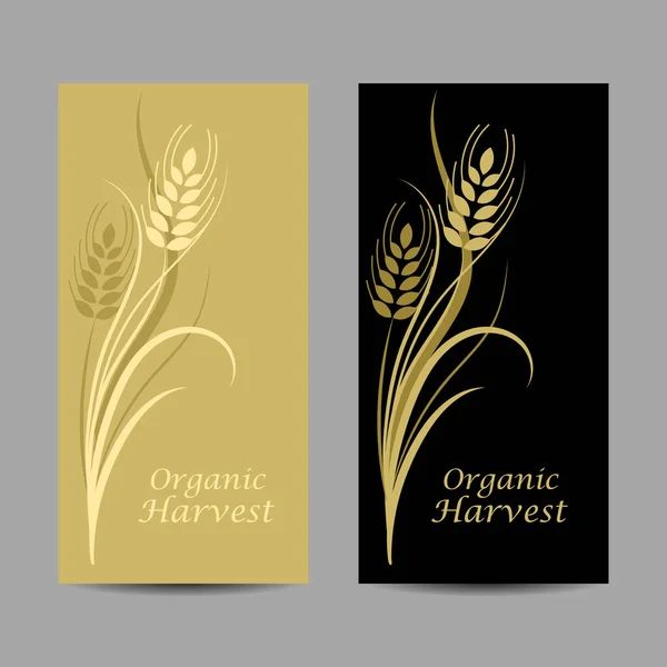 Conjunto de banners verticales. Espiguilla de trigo sobre fondo amarillo y negro — Vector de stock