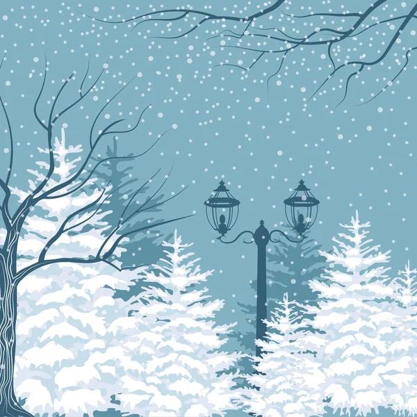 Vector winter background. Snowfall, fir trees and lanterns. Outside park landscape — 스톡 벡터